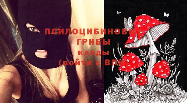 альфа пвп Карпинск