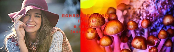 2c-b Карталы